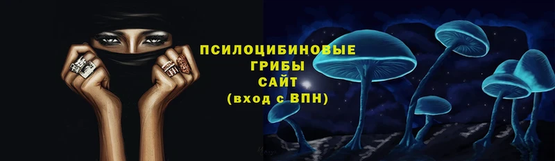 Псилоцибиновые грибы MAGIC MUSHROOMS  купить  сайты  Луга 